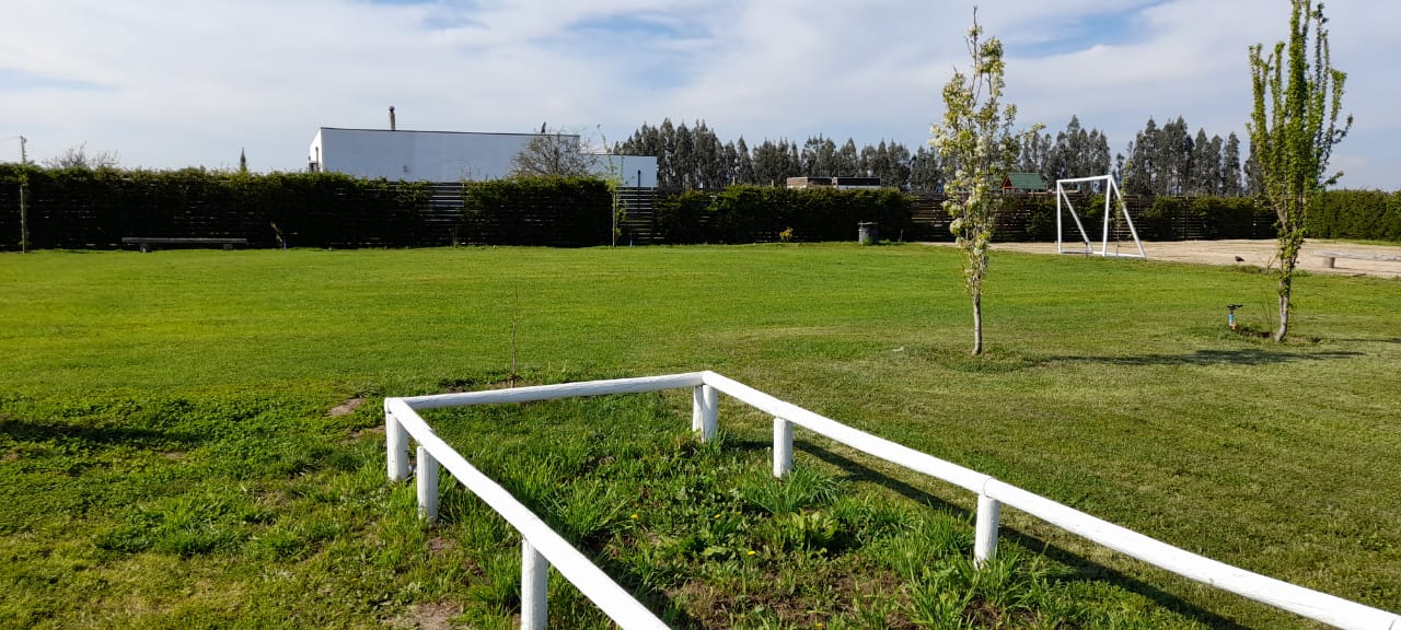 Parcela de Agrado con Casa en Peralillo - Imagen 15