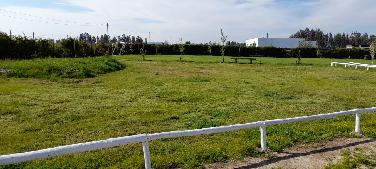 Parcela de Agrado con Casa en Peralillo - Imagen 12