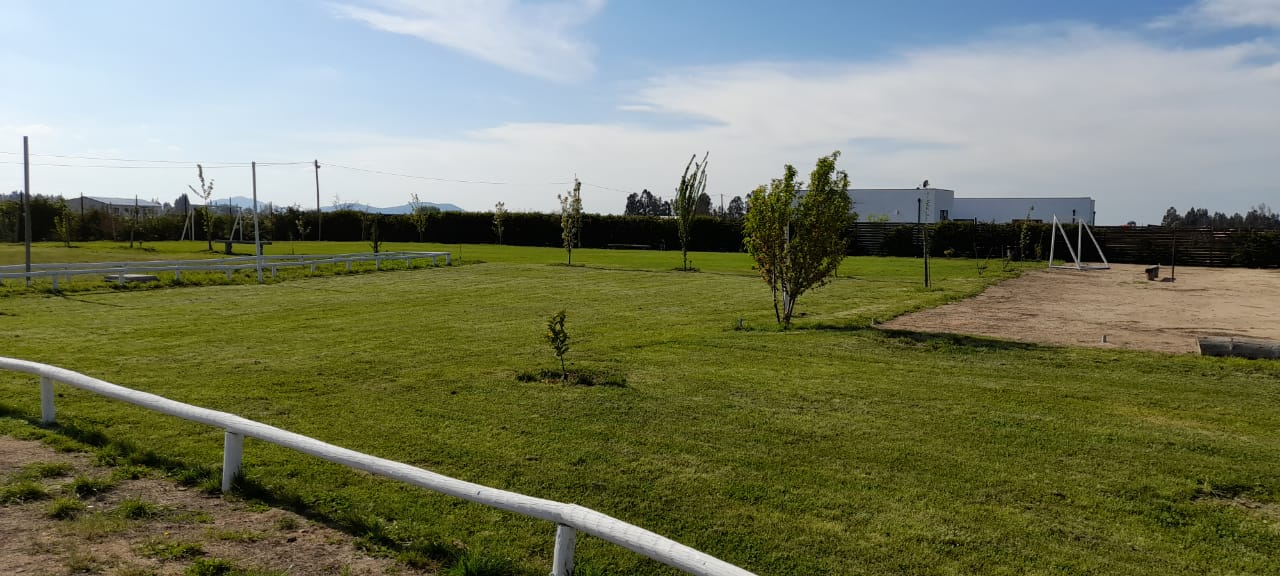 Parcela de Agrado con Casa en Peralillo - Imagen 13