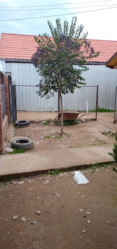 Terreno Urbano en San Fernando, Potencial de Uso Comercial - Imagen 11
