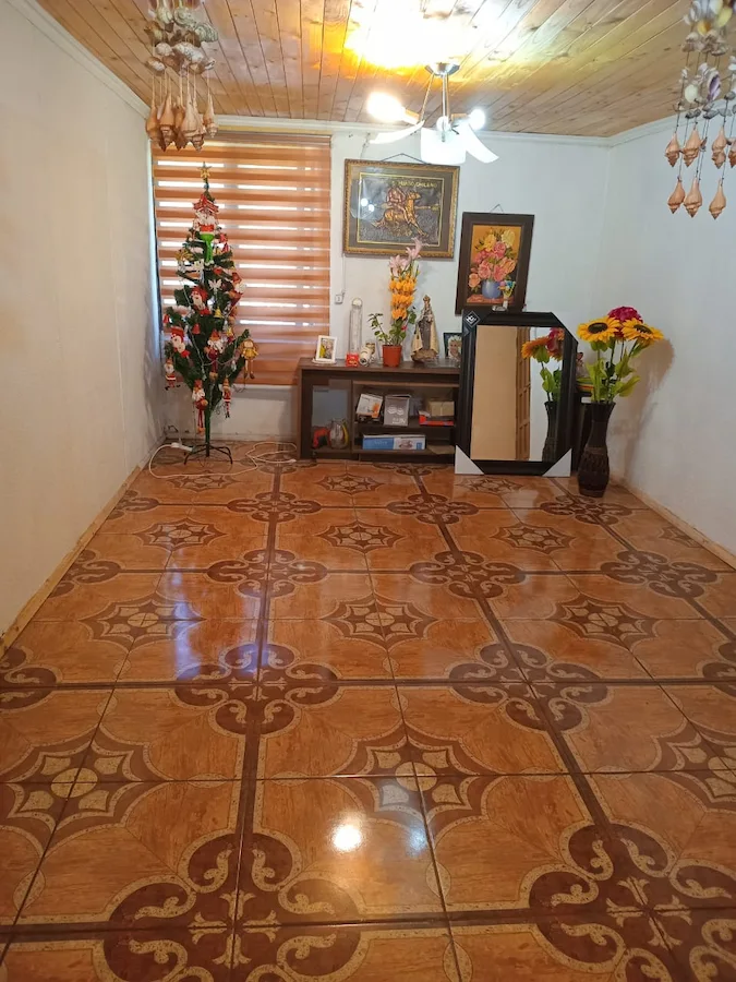 Living de casa en venta en Villa Centinela, San Fernando, con piso cerámico decorativo y revestimiento de madera en el cielo